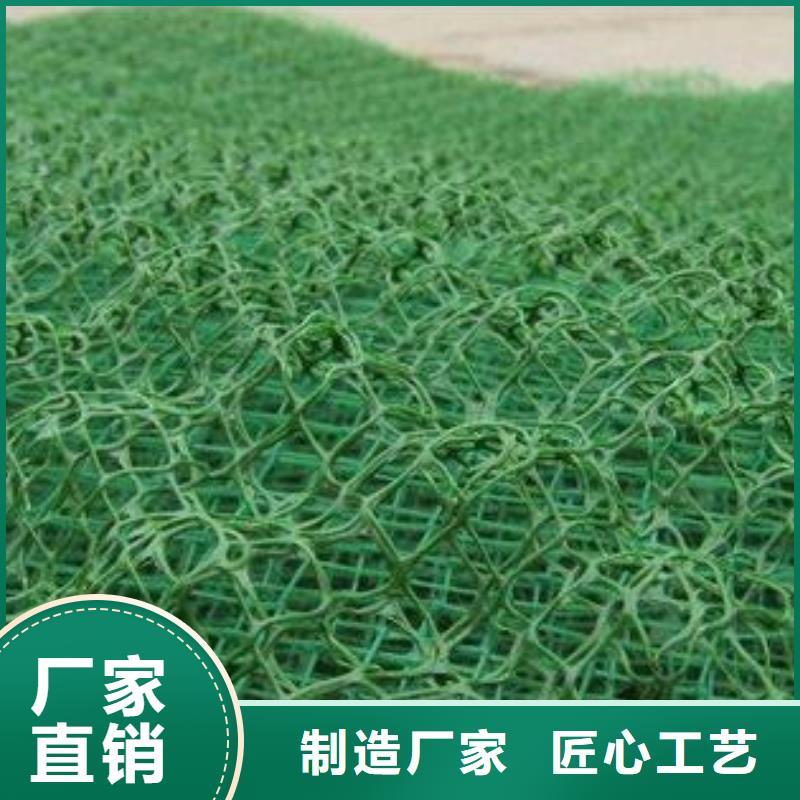 【三维植被网透水土工布品质服务诚信为本】