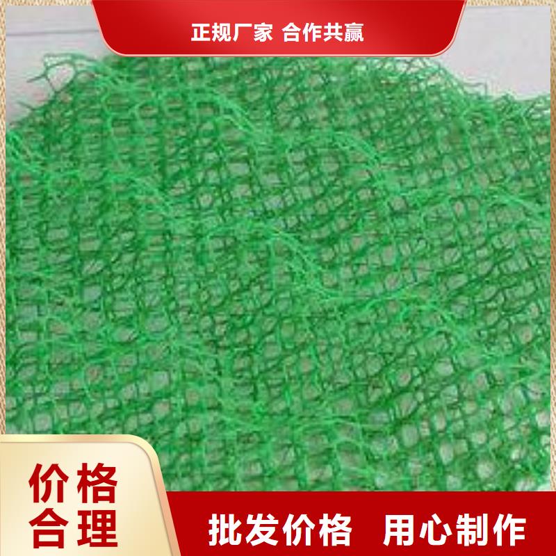 【三维植被网透水土工布品质服务诚信为本】