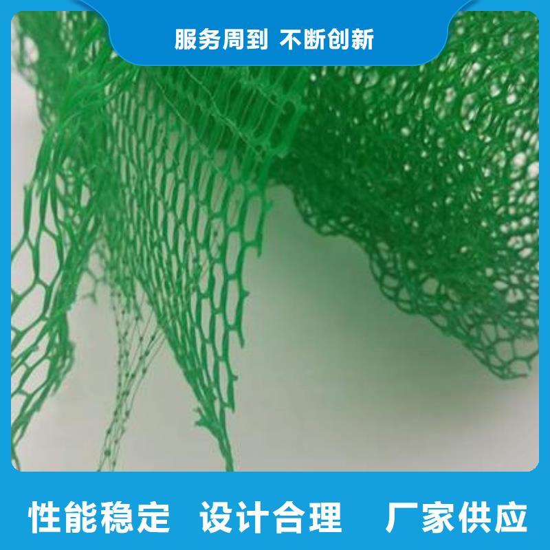 三维植被网价格实惠工厂直供