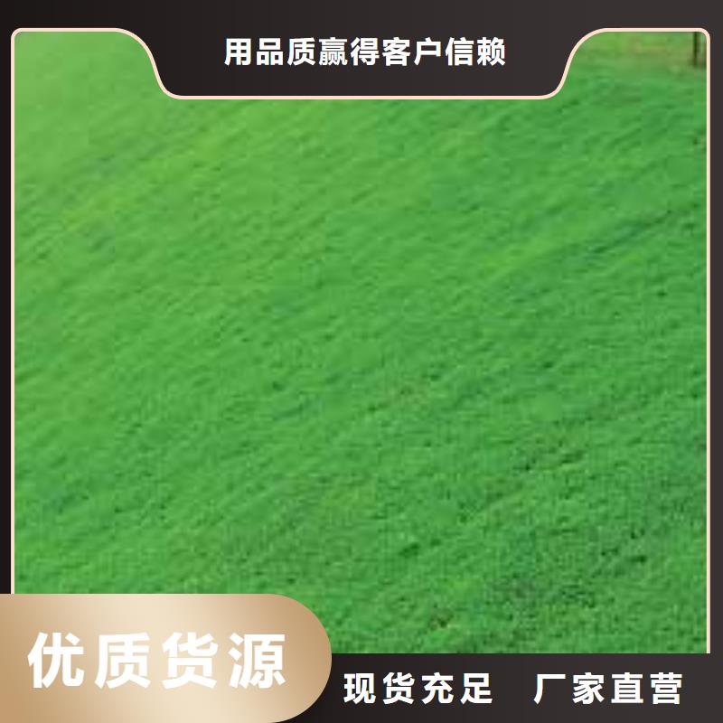 三维植被网HDPE土工膜出货快