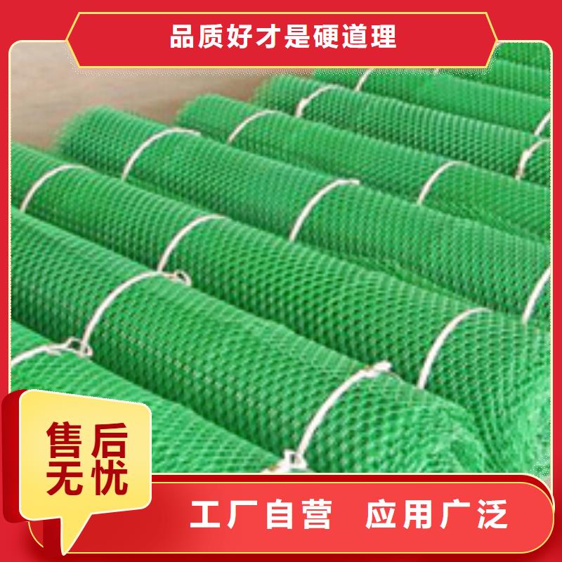 三维植被网HDPE土工膜出货快