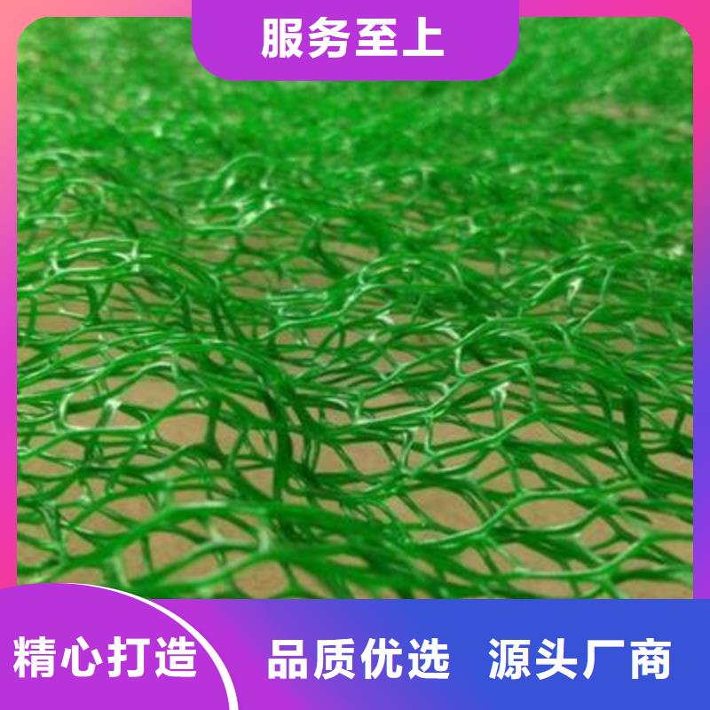 三维植被网【护坡土工网】满足客户需求