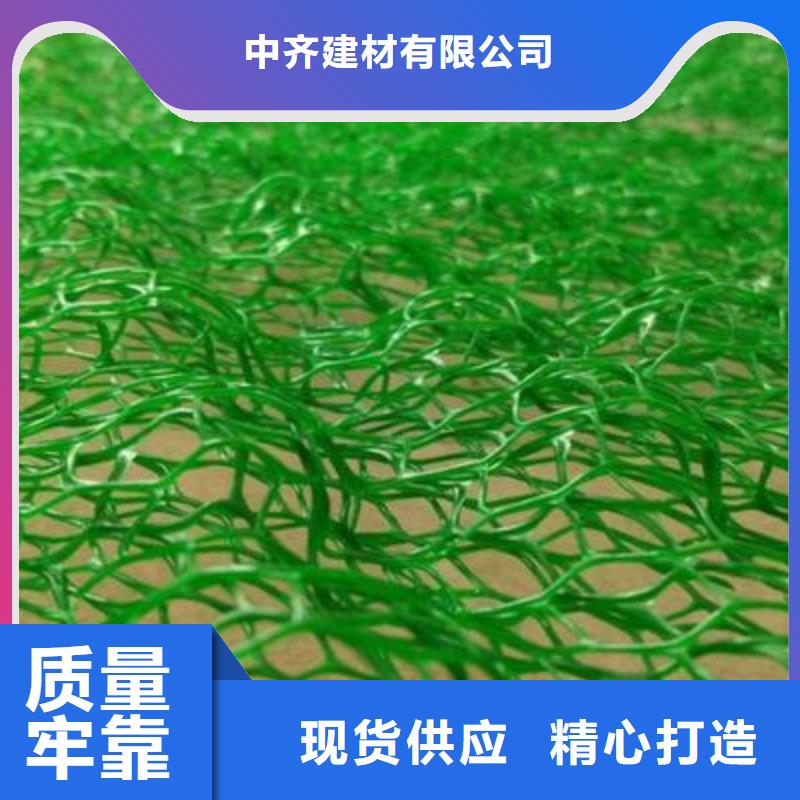 三维植被网【HDPE黑色土工膜】批发商