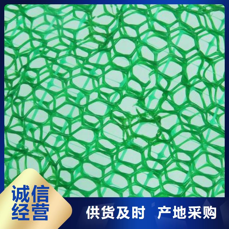 三维植被网价格实惠工厂直供