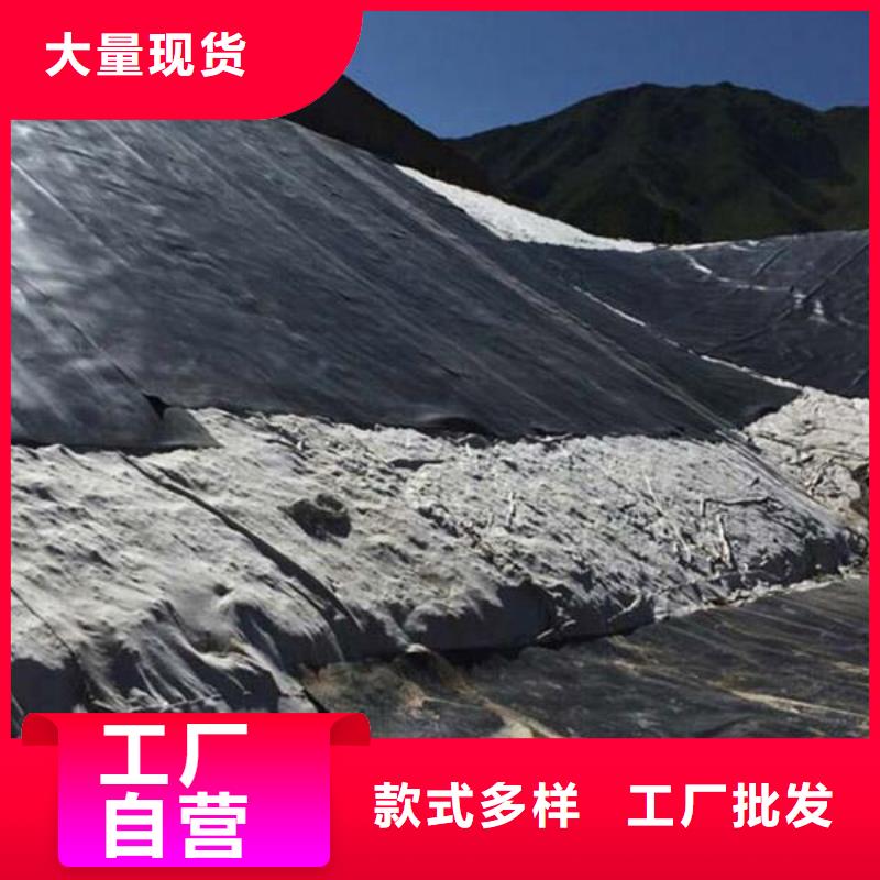 【土工膜单向塑料土工格栅品质服务诚信为本】
