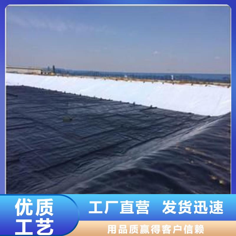 土工膜双向塑料土工格栅定制批发