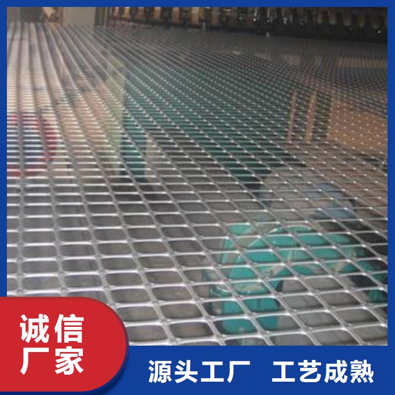 双向塑料土工格栅复合土工膜批发商
