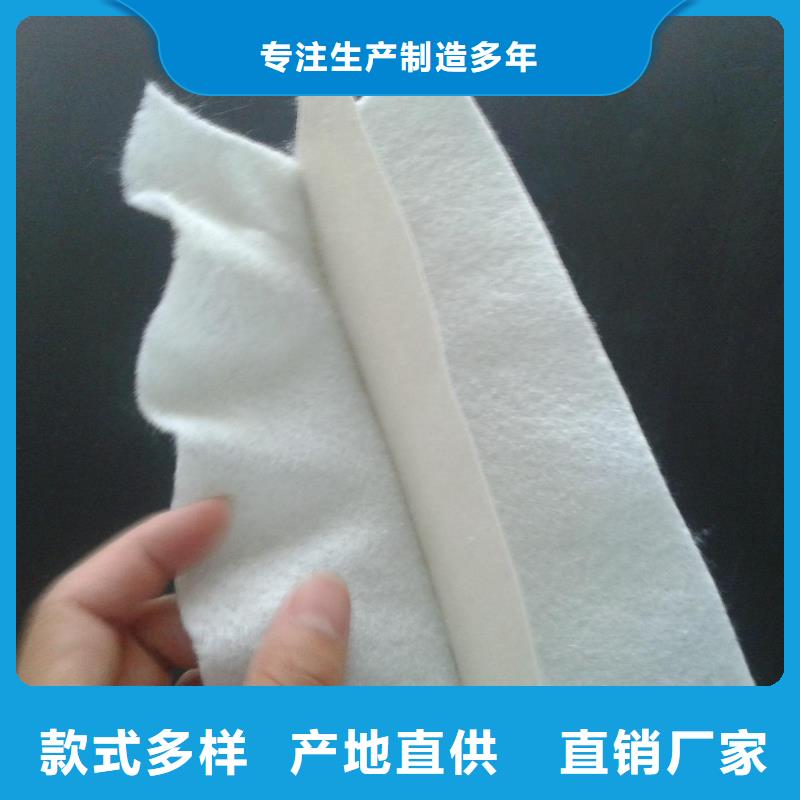 土工膜复合土工膜款式新颖
