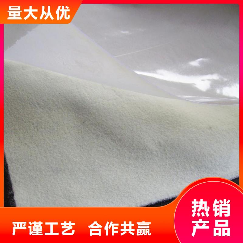 土工膜复合土工膜款式新颖