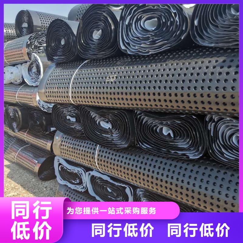 蓄排水板长丝土工布品牌企业