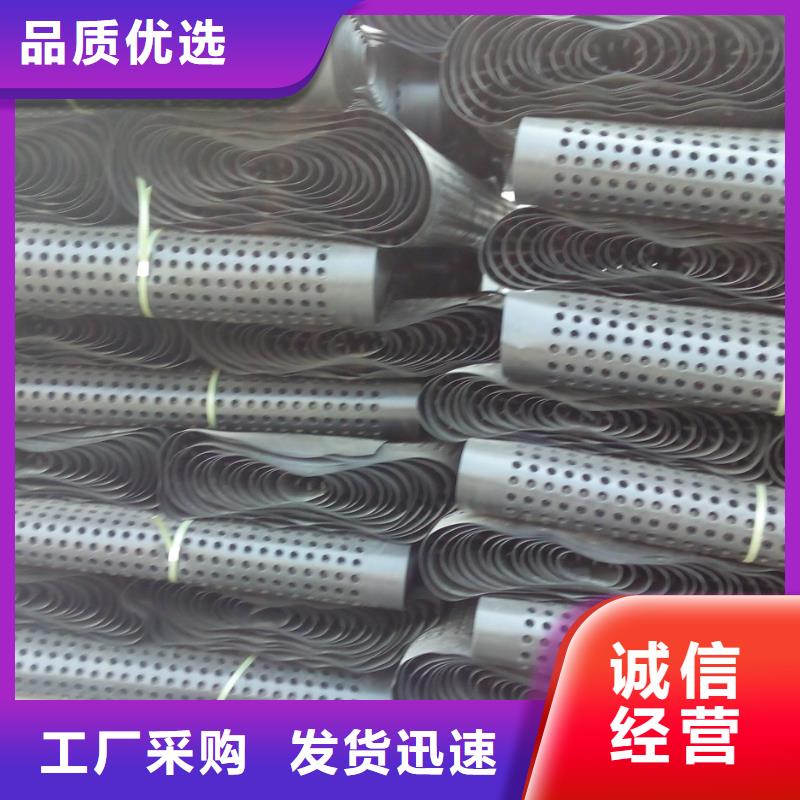 蓄排水板凸结点钢塑土工格栅用心细节