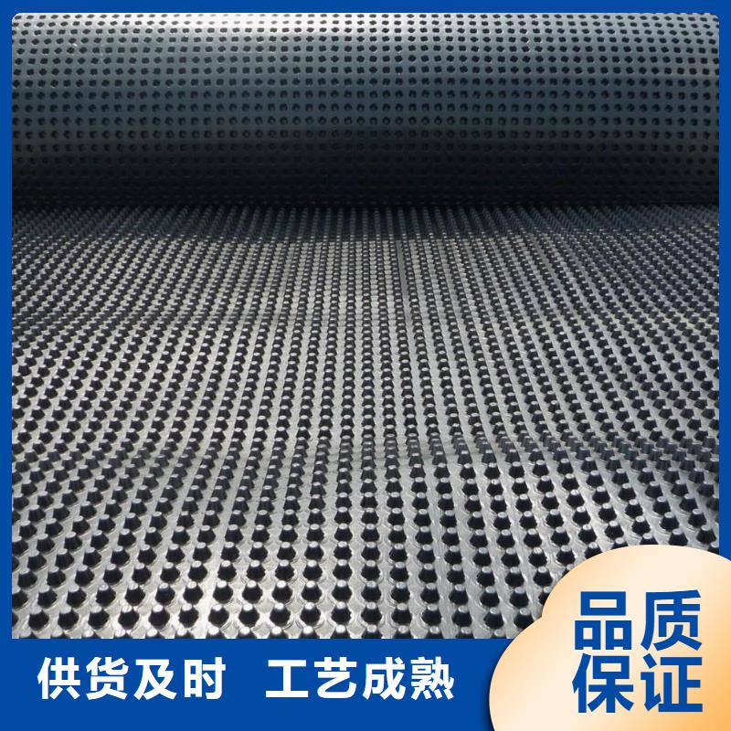 蓄排水板钢塑土工格栅厂家实力大