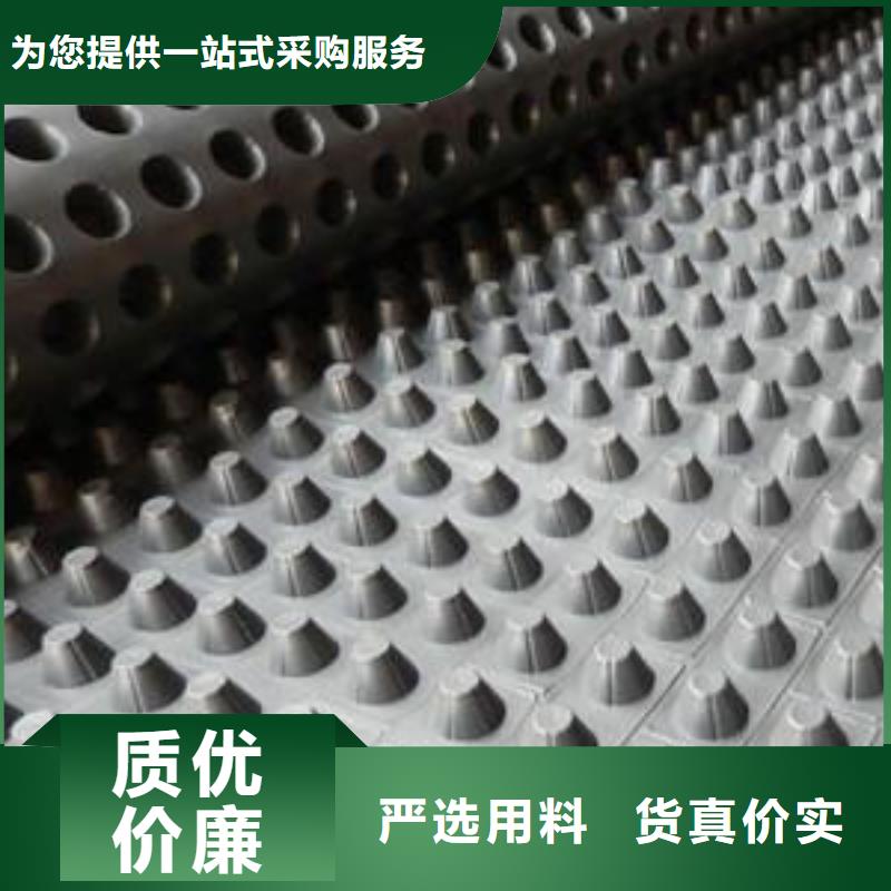 蓄排水板凸结点钢塑土工格栅用心细节