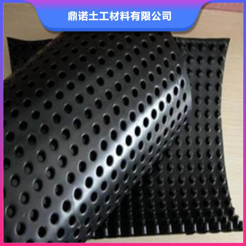 蓄排水板护坡土工网厂诚信经营