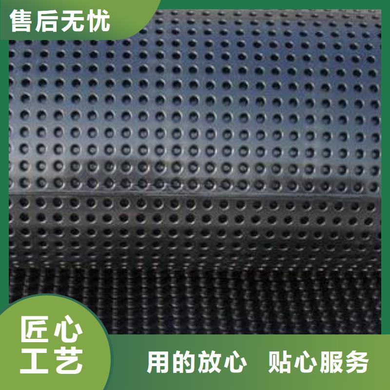 蓄排水板凸结点钢塑土工格栅用心细节