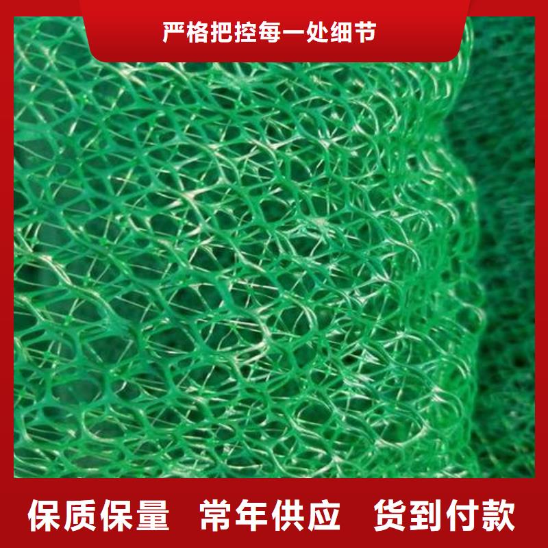 三维植被网塑料盲沟放心购