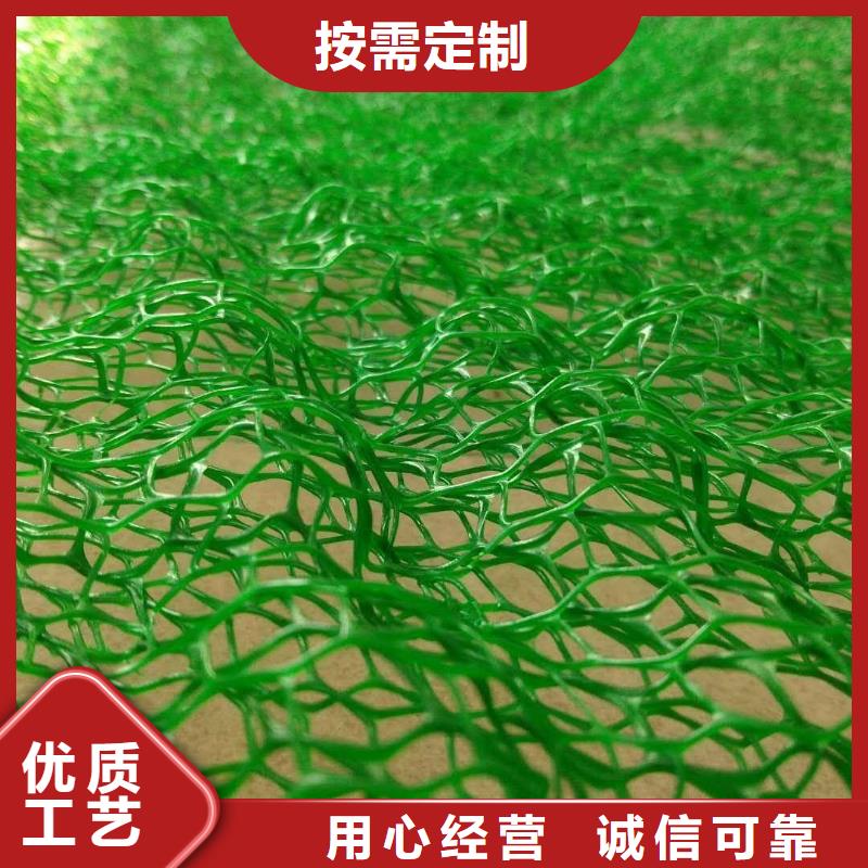 三维植被网塑料盲沟放心购