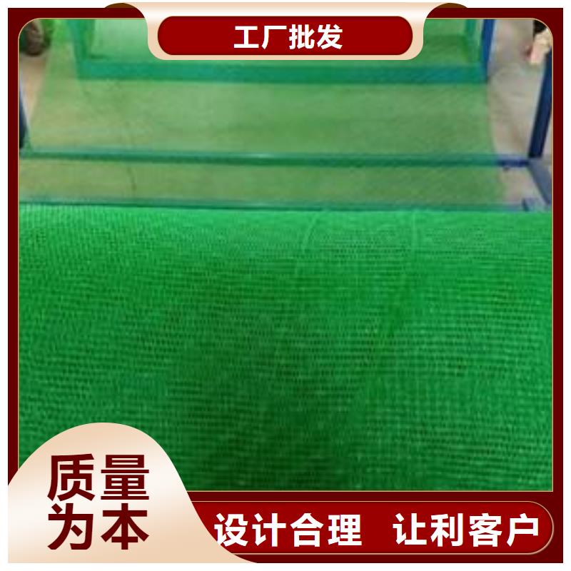 三维植被网,涤纶土工格栅免费询价