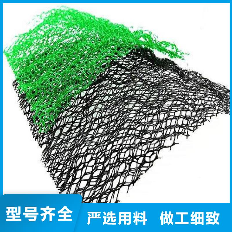 三维植被网,涤纶土工格栅免费询价