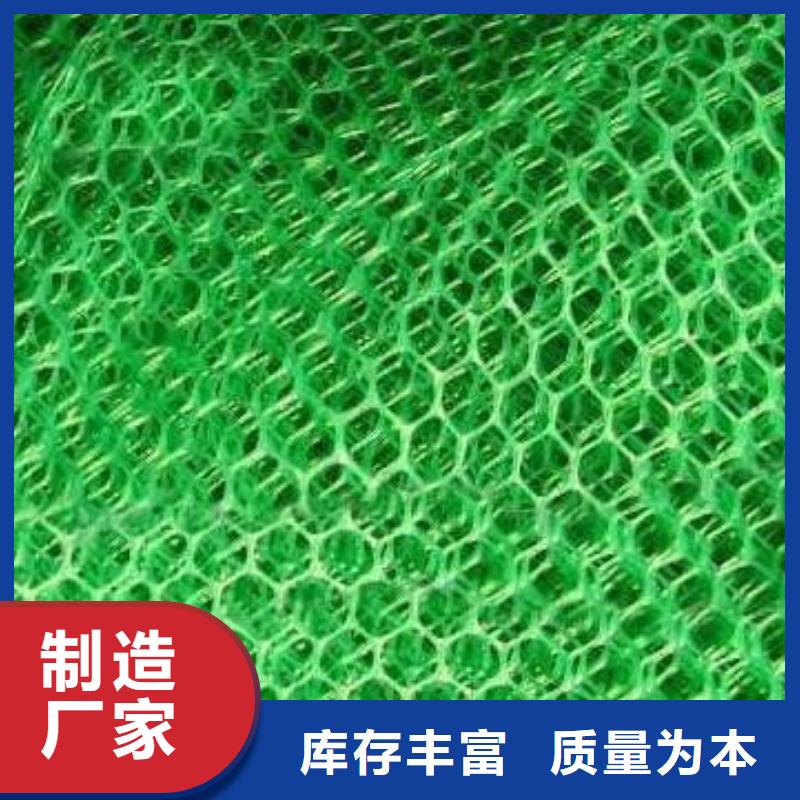 三维植被网塑料盲沟放心购