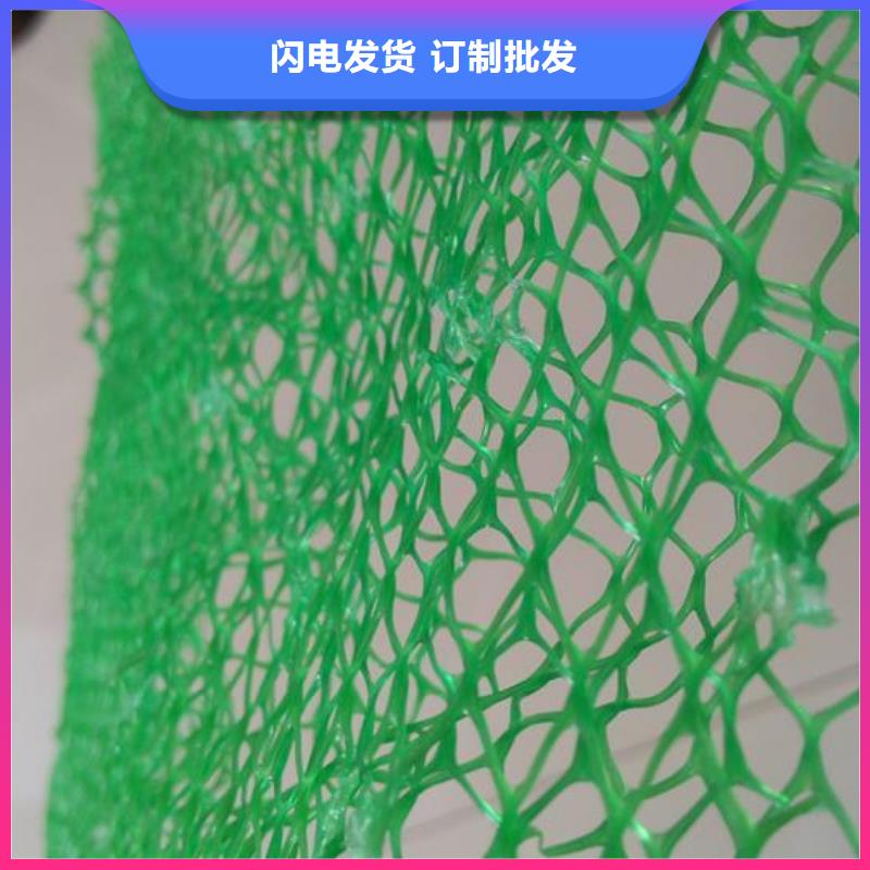 三维植被网,涤纶土工格栅免费询价