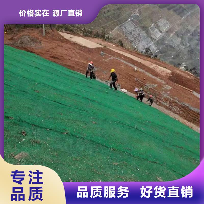 三维植被网,涤纶土工格栅免费询价