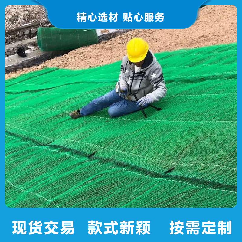 三维植被网,涤纶土工格栅免费询价