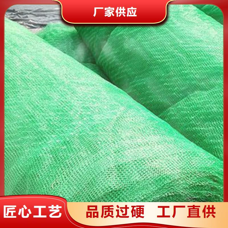三维植被网塑料盲沟放心购