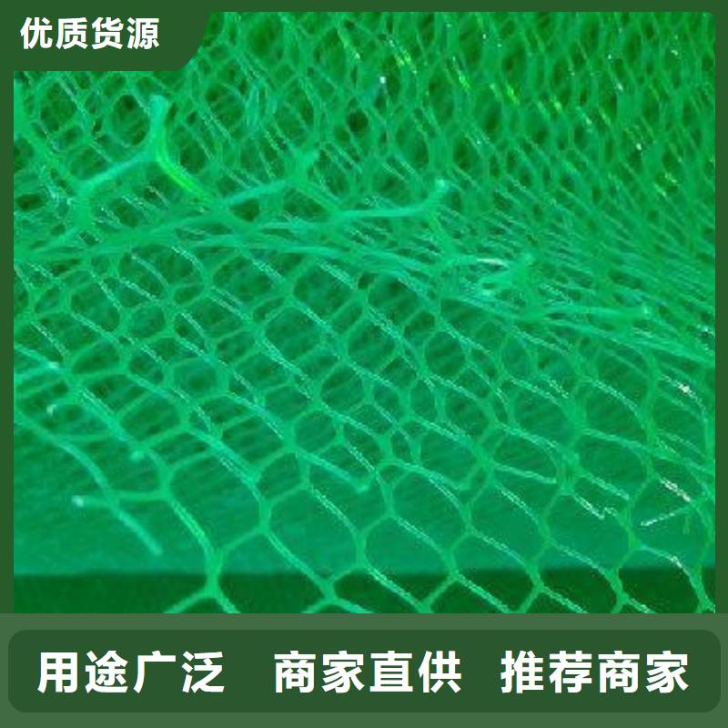 三维植被网塑料盲沟放心购
