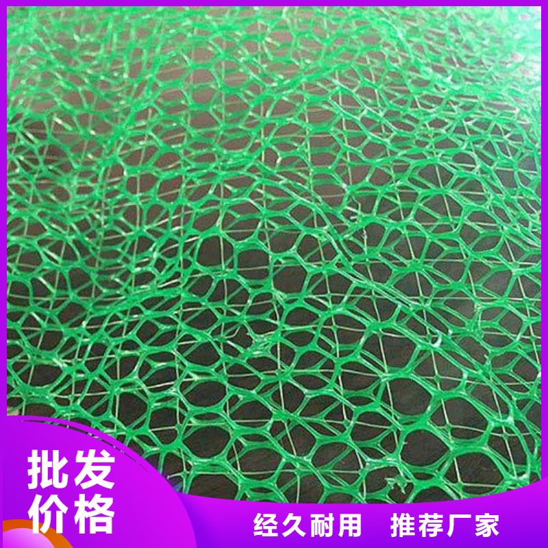三维植被网塑料盲沟放心购