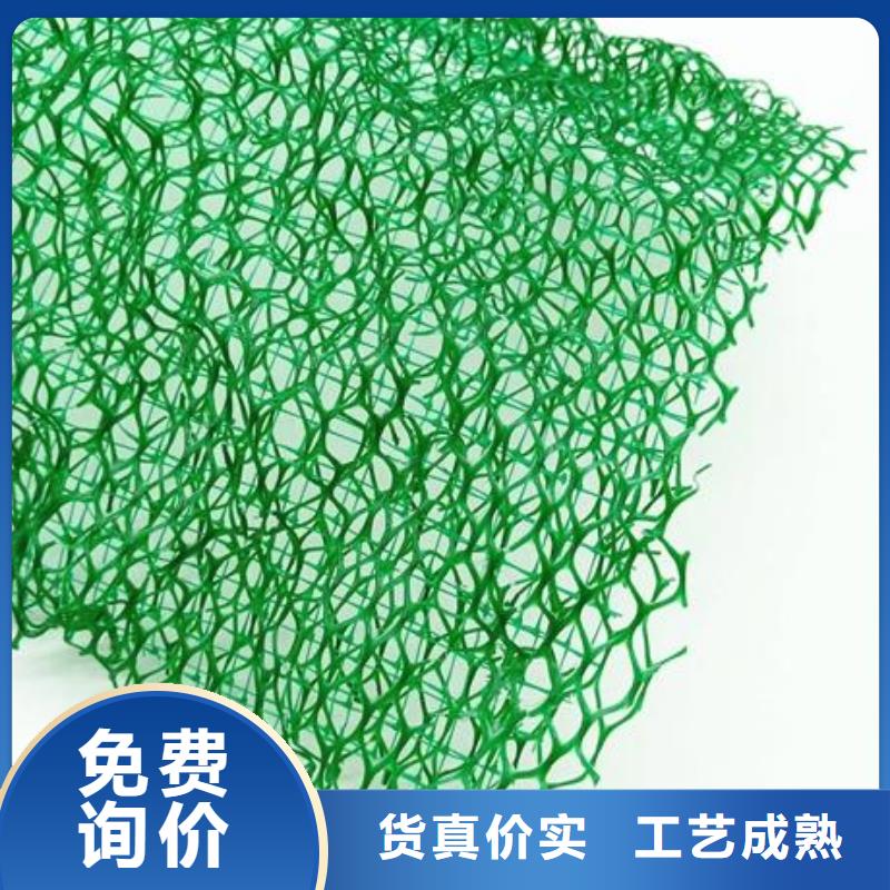 三维植被网塑料盲沟放心购