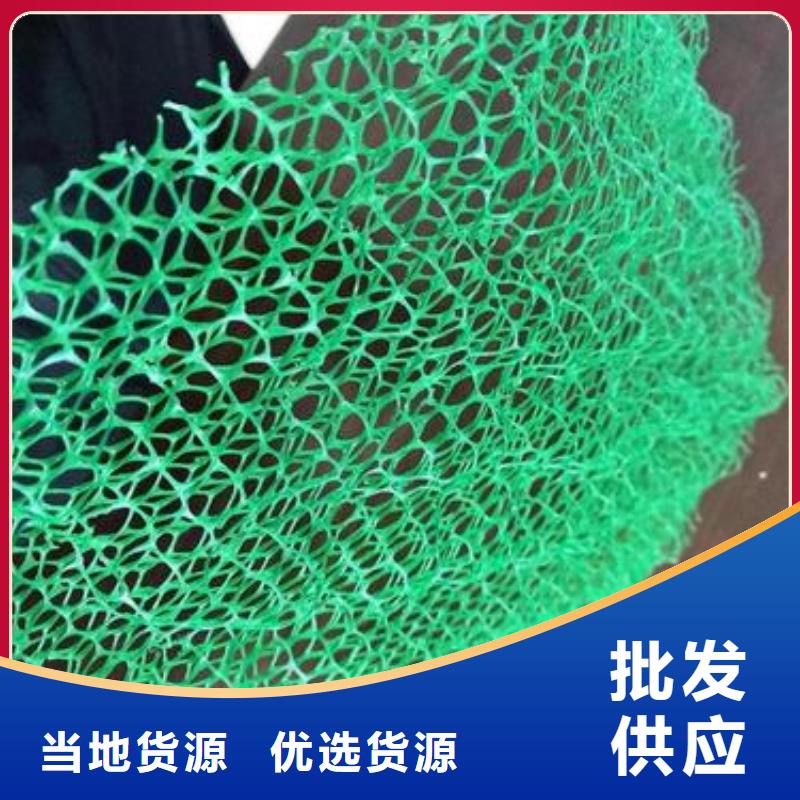 三维植被网塑料盲沟放心购