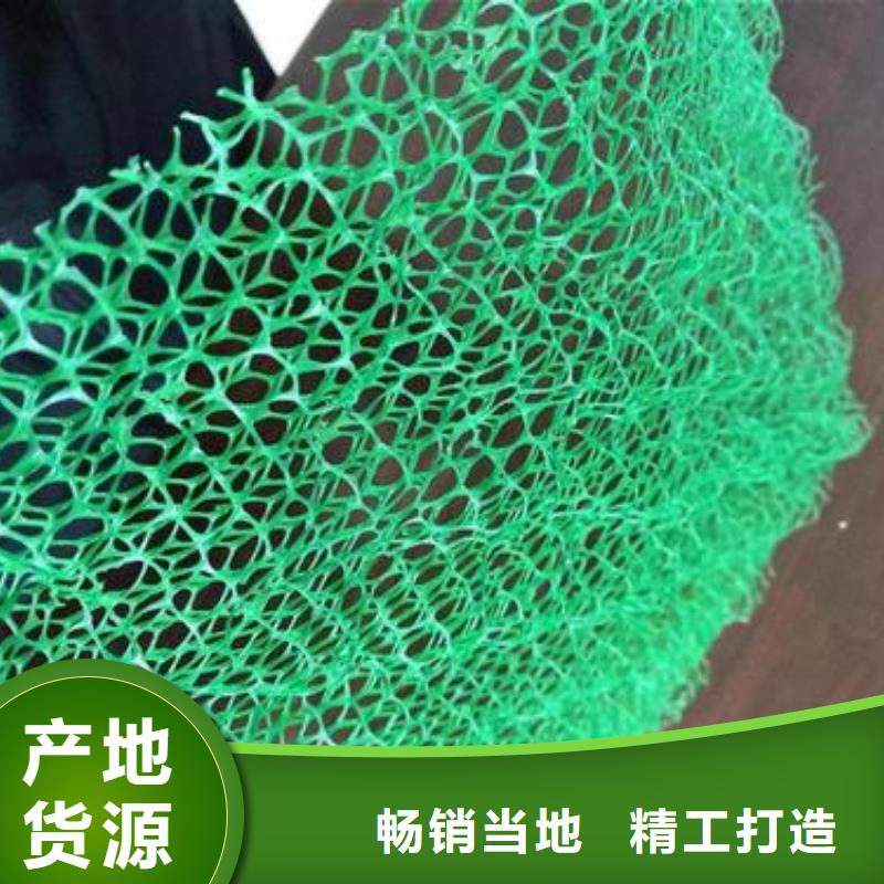三维植被网塑料盲沟放心购