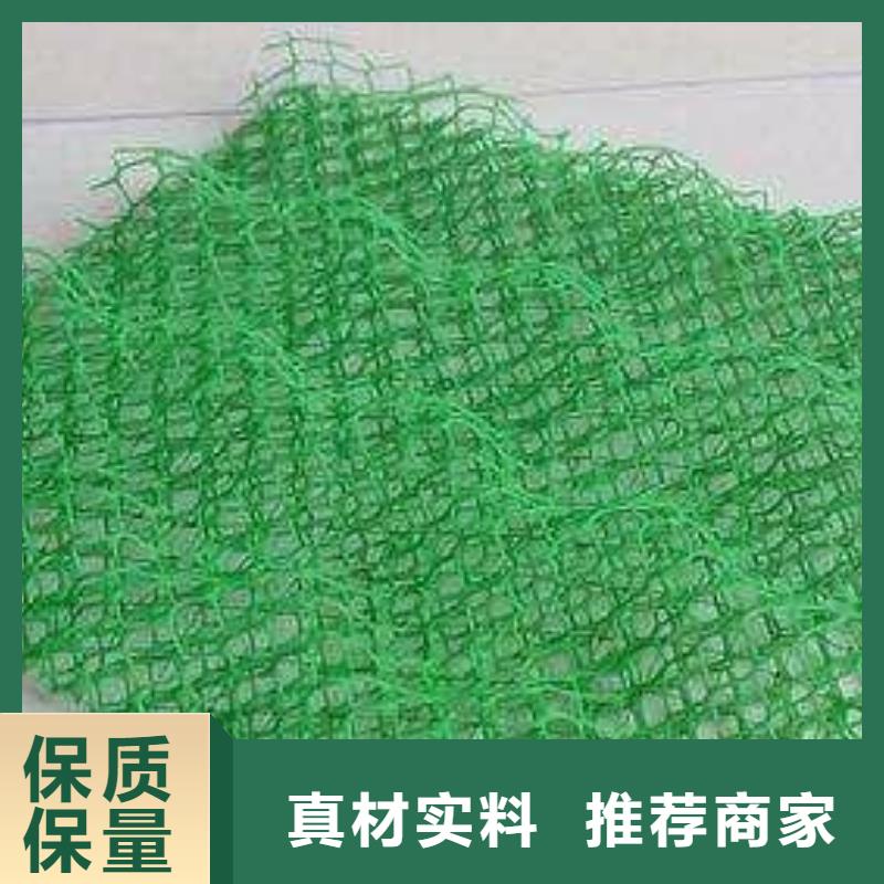 三维植被网塑料盲沟放心购