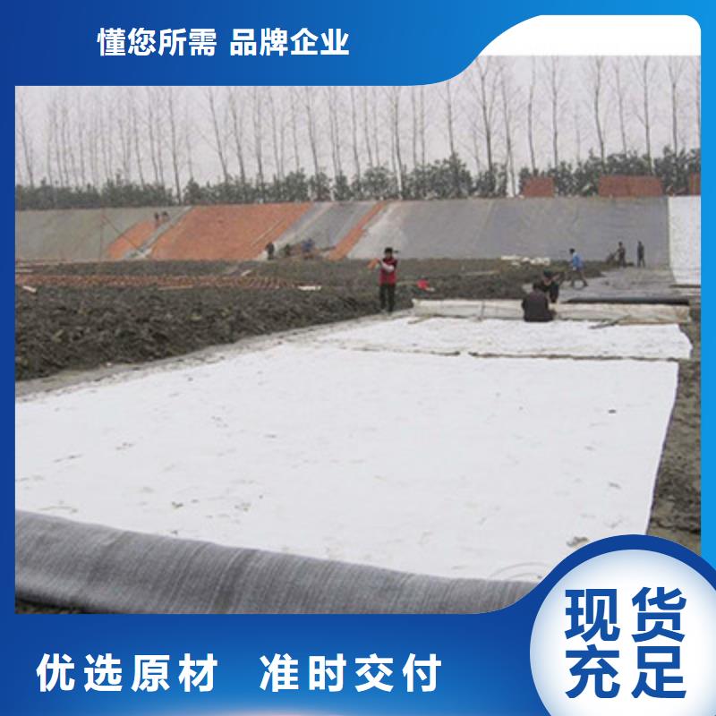 膨润土防水毯三维复合排水网严选用料