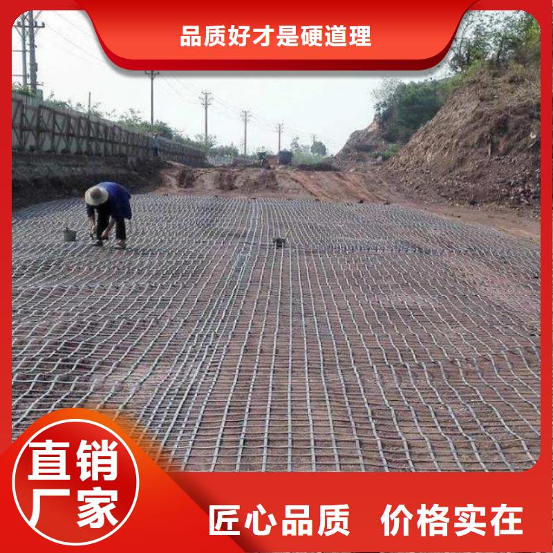 钢塑土工格栅膨润土防水毯专业完善售后