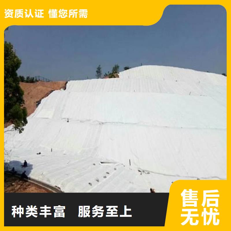 【土工布】膨润土防水毯产地货源