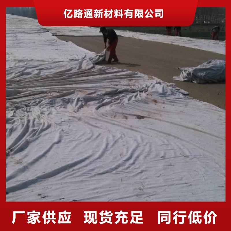 土工布钢塑土工格栅多年行业积累