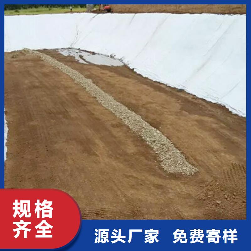 土工布钢塑土工格栅多年行业积累