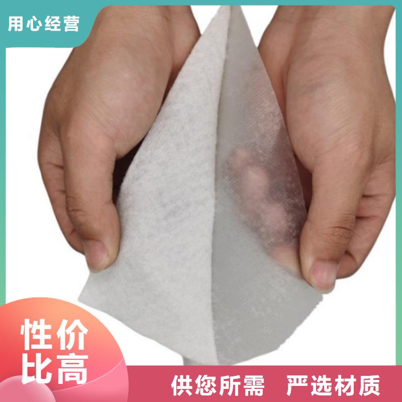 土工布钢塑土工格栅多年行业积累