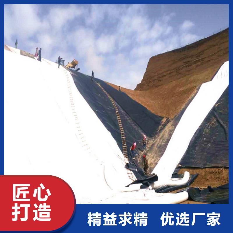 【土工布】膨润土防水毯产地货源