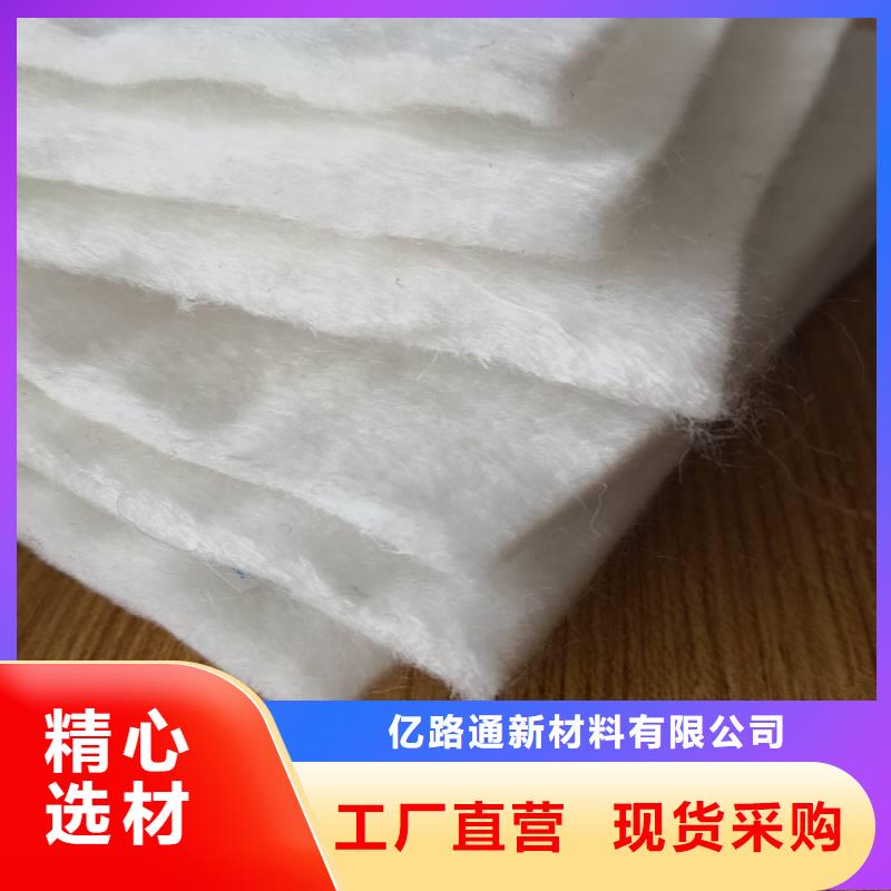土工布钢塑土工格栅多年行业积累