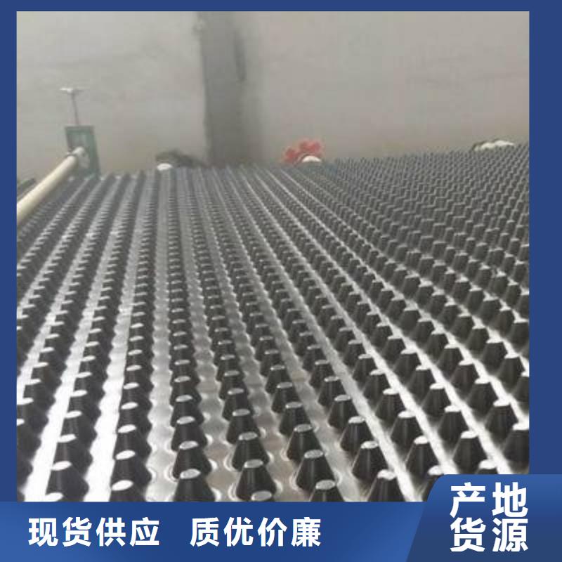 塑料排水板膨润土防水毯优选厂商