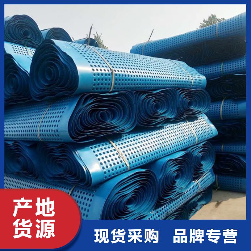 塑料排水板HDPE土工膜低价货源