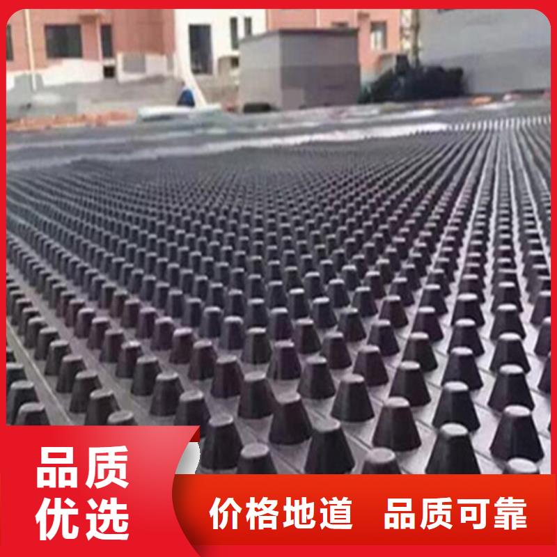 塑料排水板膨润土防水毯优选厂商