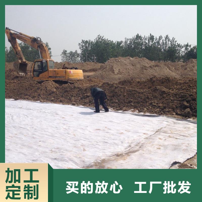 防水毯塑料盲沟合作共赢