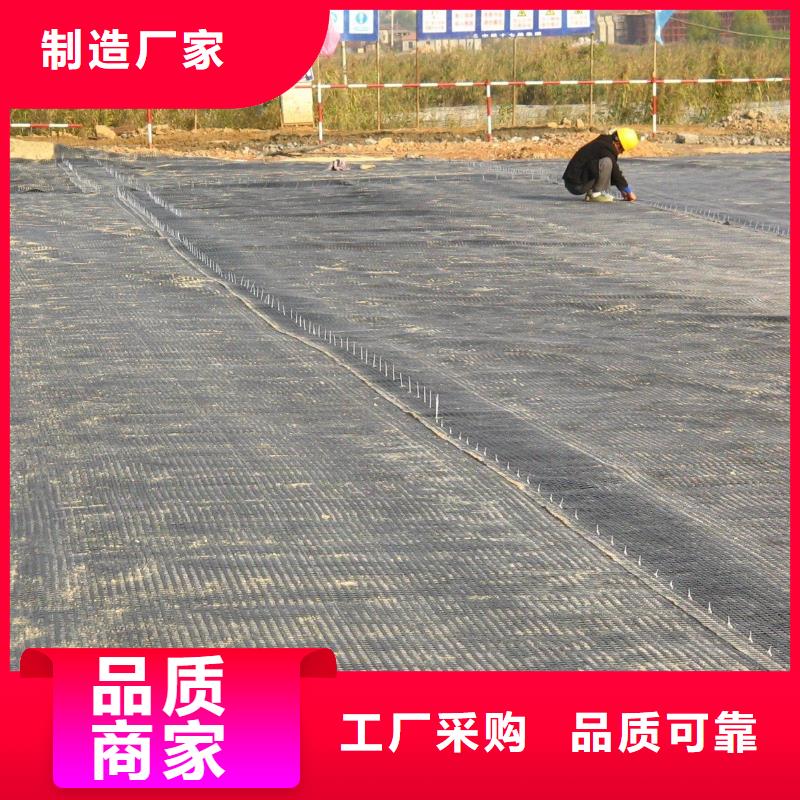 土工格栅三维水土保护毯N年专注