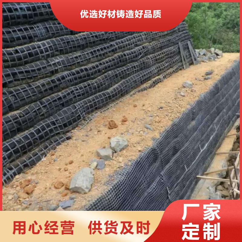 土工格栅,钢塑土工格栅厂家实体诚信厂家