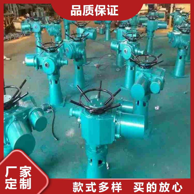 【启闭机】铸铁闸门厂家免费安装