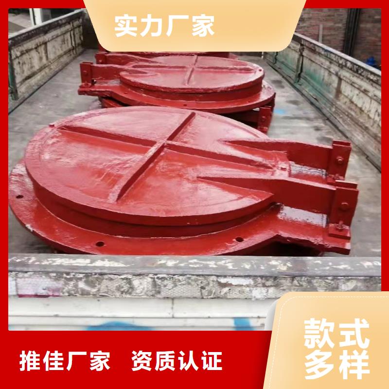 球墨铸铁闸门免费指导安装陵水县